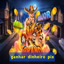 ganhar dinheiro pix de verdade bingo